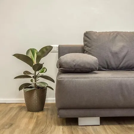 Cucchiari 3b * Módena