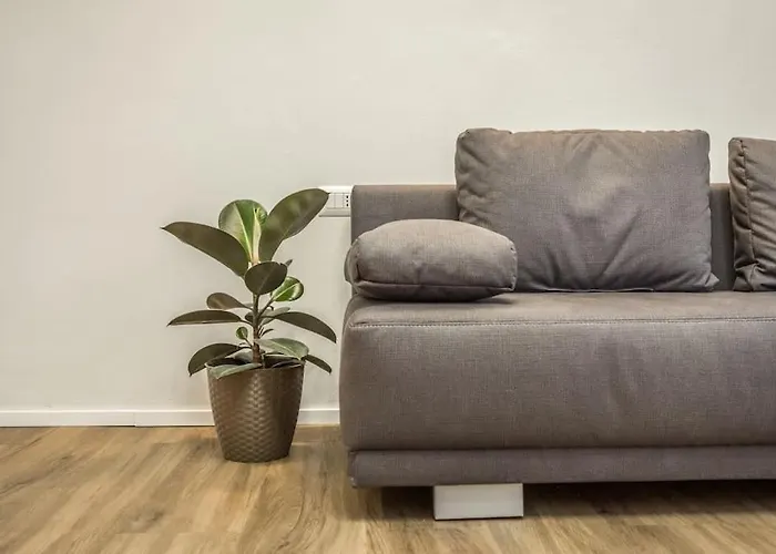 Cucchiari 3b * Módena